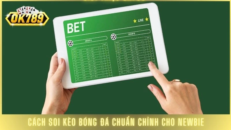 Cách soi kèo bóng đá chuẩn chỉnh cho newbie