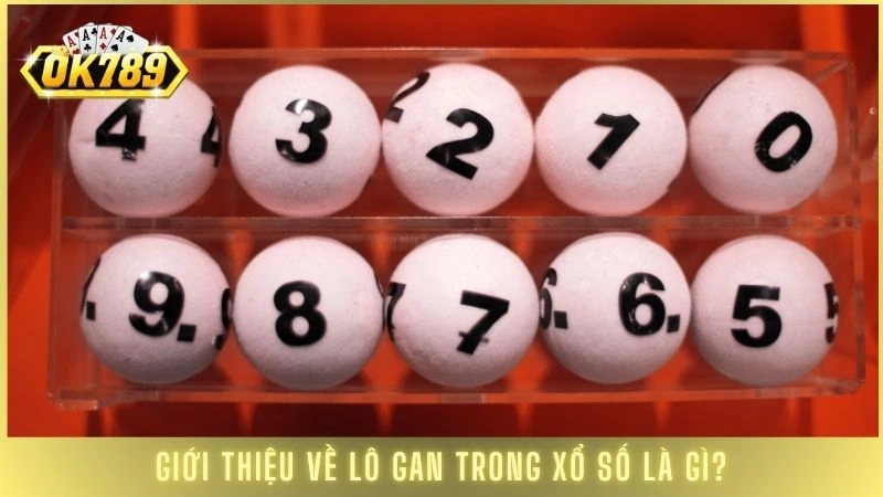 Giới thiệu về lô gan trong xổ số là gì?